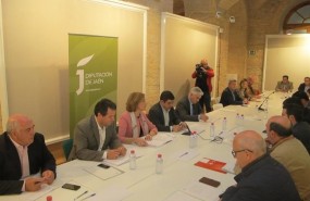 ep reunionconsejoaceiteoliva