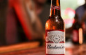 ep una de las marcas de cerveza de ab inbev
