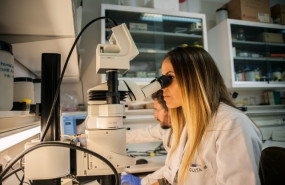 ep una investigadora en un laboratorio imagen de archivo