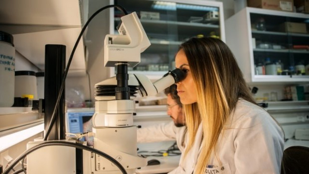 ep una investigadora en un laboratorio imagen de archivo