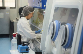ep una investigadora trabajando en el laboratorio de bioseguridad de la universidad de cordoba ep una investigadora trabajando en el laboratorio de bioseguridad de la universidad de cordoba