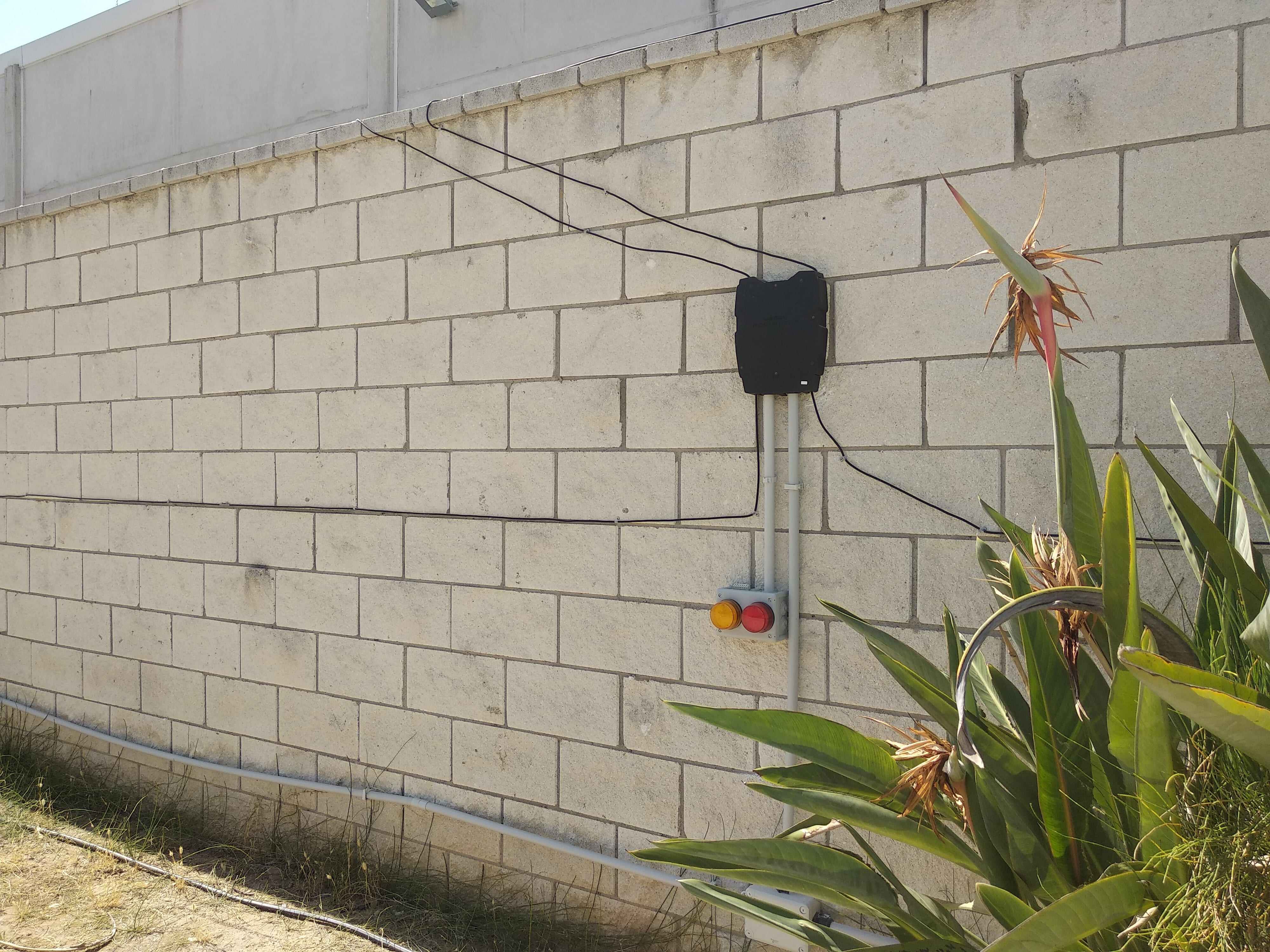 1561456400 wardian perimeter 1