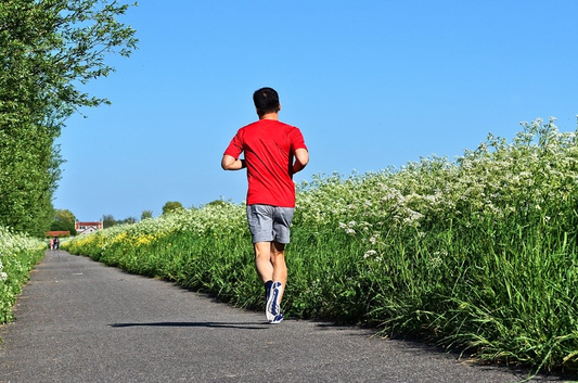 1576753071 captura de pantalla 2019 12 19 a les 115449