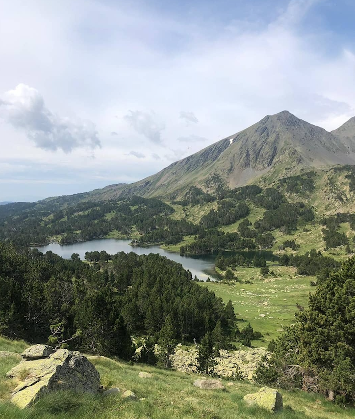 1595580310 captura de pantalla 2020 07 24 a les 103410