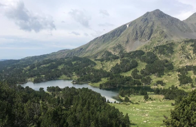 1595580310 captura de pantalla 2020 07 24 a les 103410 1595580310 captura de pantalla 2020 07 24 a les 103410