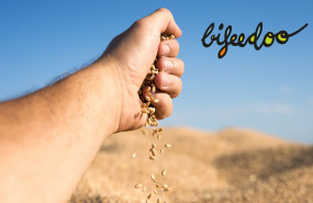 1630222359 piensos ecologicos bifeedoo