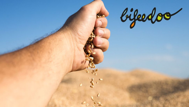 1630222359 piensos ecologicos bifeedoo