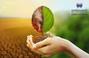 ambiseint reduce el impacto de sus envases con el uso de plastico 100 reciclado y reciclable