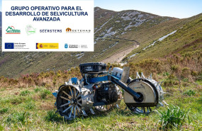 capra   go desarrollo selvicultura avanzada