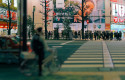 dl japan tokyo akihabara pedestrioans crossing shopping commuters general scene pb
