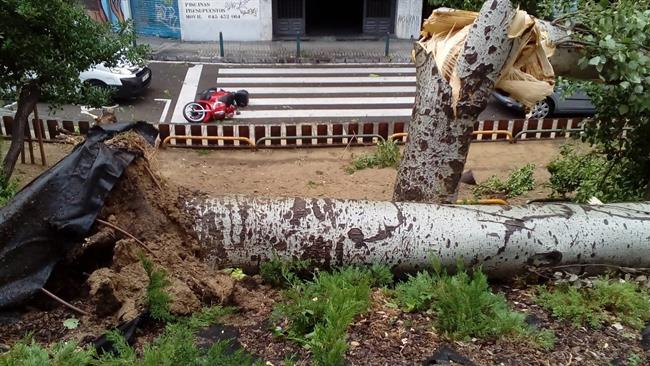 Árbol Y Moto Caídos Por Una Tormenta | Europa Press ep arbolmoto caidosuna tormenta
