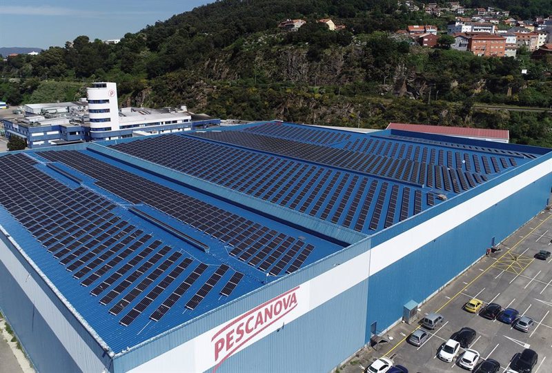 Las pérdidas del Grupo Nueva Pescanova se reducen un 65% en el primer semestre