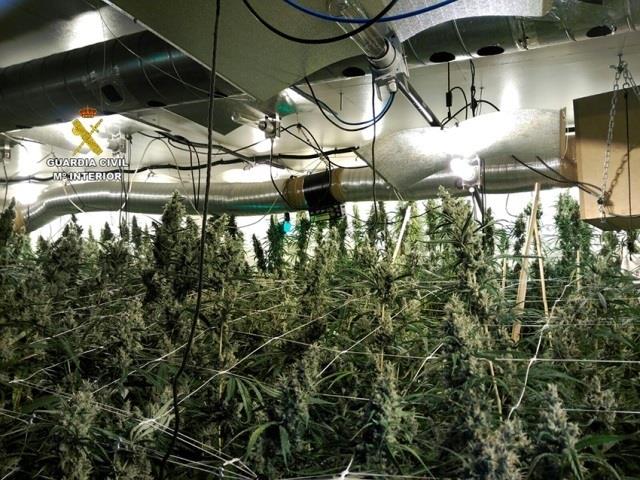 Laboratorio de drogas en Ibiza | GUARDIA CIVIL ep laboratoriodrogasibiza