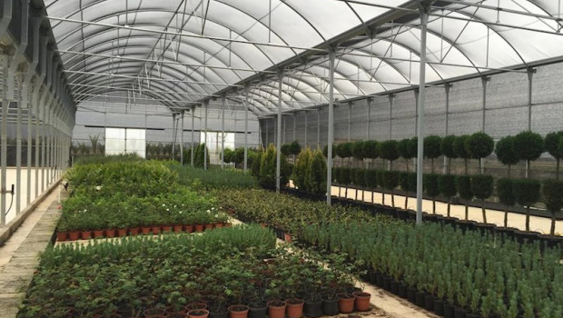 ep plantas de vivero