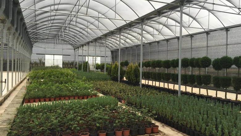 Plantas de vivero | DIPUTACIÓN DE BADAJOZ - Archivo ep plantas de vivero