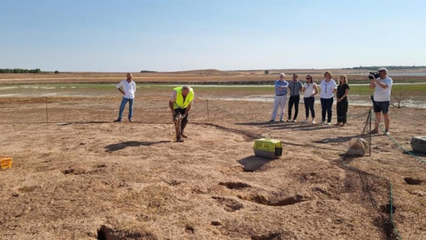 ep proyecto del gobierno de c lm y asiccaza para el control de la sobrepoblacion de conejo y la