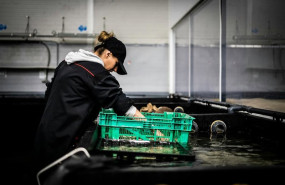 ep archivo   empresa de trabajo temporal ett