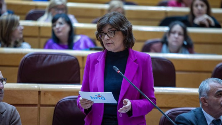 ep archivo la senadora del bng carme da silva ep archivo la senadora del bng carme da silva