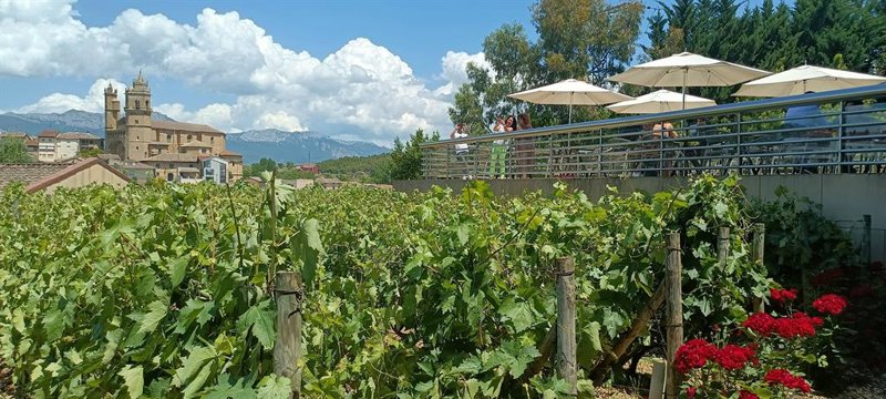 Archivo - Viñedos en Rioja alavesa | EUROPA PRESS - Archivo ep archivo vinedos en rioja alavesa 20250807184906