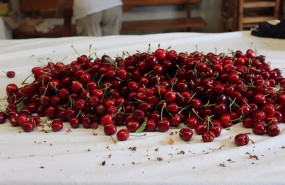 ep cerezas