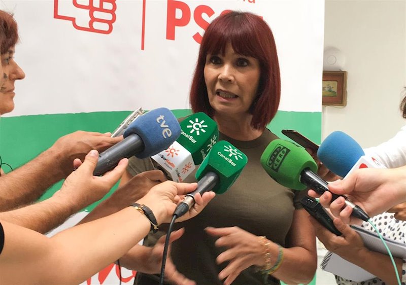 ep la presidenta del psoe-a micaela navarro en una imagen de archivo