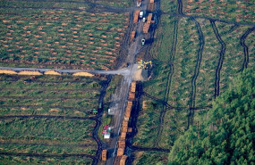 ep localizacion de la futura planta de tesla en berlin