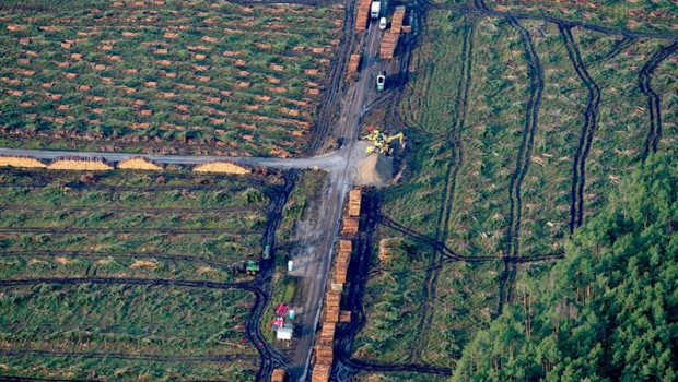 ep localizacion de la futura planta de tesla en berlin