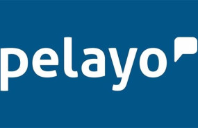 ep logo de la aseguradora pelayo