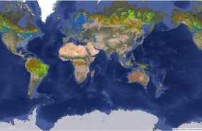 ep mapabosques certificados