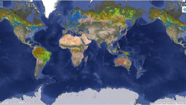ep mapabosques certificados