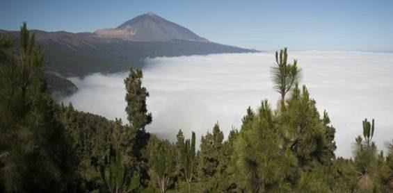 Parques Nacionales | CSIC ep parques nacionales