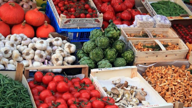 ep productos de la huerta recurso