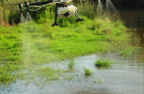 1 f1c93b0e 1 f1c93b0e