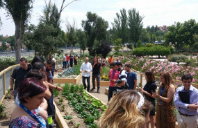 1571847116 huerto urbano en vass