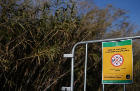 ep archivo   vallas para cortar el paso de los agents rurals de los mossos desquadra en las zonas