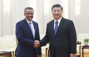 ep el presidente chino xi jinping se reune con el director general de la organizacion mundial de la