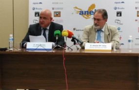 ep informe anual anele 2017