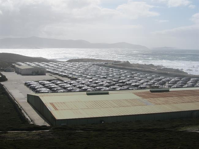 Planta de acuicultura en la costa gallega | EUROPA PRESS ep plantaacuiculturala costa gallega