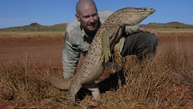 ep profesor asociado bryan fryun goanna manchadodesierto