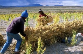 ep punto 10decalogo verde campanacuidasplaneta combatespobreza