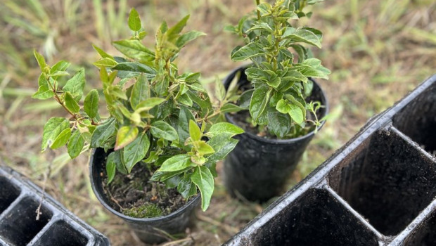 ep sostenibilidad en la bodega