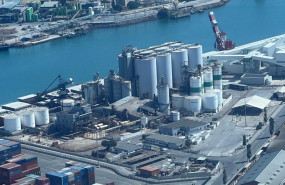 foto planta 20240507121228 foto planta 20240507121228