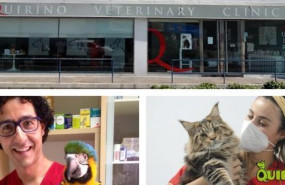 linkedin post quirino