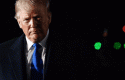 trumprumor trumprumor