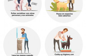 1584444591 recomendacio n paseo mascotascovid19 1584444591 recomendacio n paseo mascotascovid19