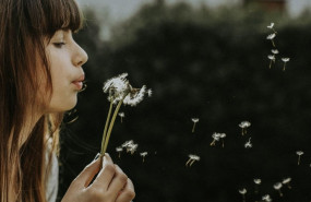 1642663761 photo 1498568715259 5c1dc96aa8e7