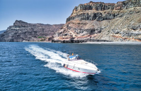 cxzv 20241128194302 cxzv 20241128194302