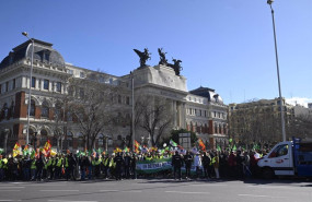 ep agricultores durante una concentracion frente al ministerio de agricultura a 26 de febrero de ep agricultores durante una concentracion frente al ministerio de agricultura a 26 de febrero de