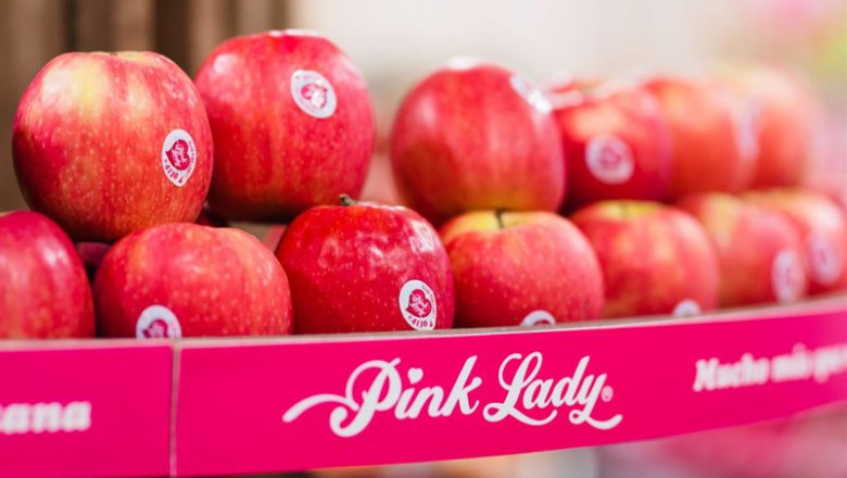 Archivo - Economía.- Las manzanas Pink Lady registran ventas récord en 2019 tras una cosecha histórica en España | PINK LADY - Archivo ep archivo economia las manzanas pink lady registran ventas record en 2019 tras una cosecha
