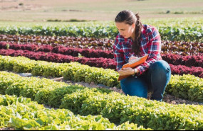 ep archivo   jovenes agricultores